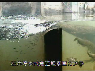 84co585uaa82g8csvyg4-3ba1fcbd.jpg