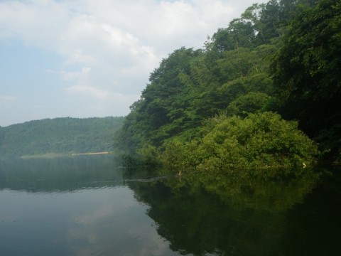 84gwekmz5ssrtbe7o22r_480_480-e097940c.jpg