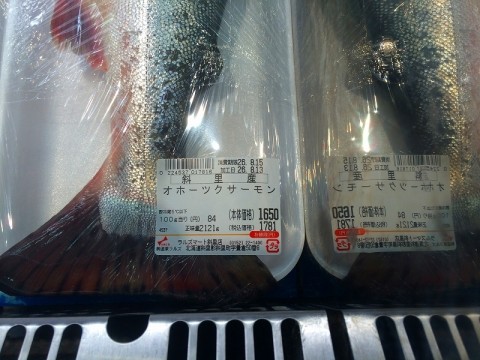 84kkp46m79947on583u7_480_480-ddc7bc2b.jpg