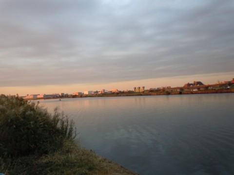 84mkkdyn4mc7edw622z6_480_480-8743a173.jpg