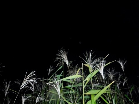 863e7otxdcybve4n6p2j_480_480-7526c771.jpg