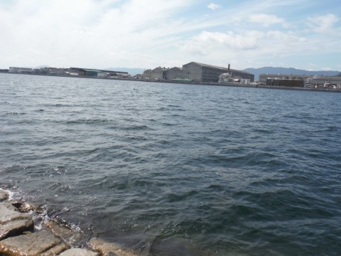 865mzkcy38d3kpnxi5i5_480_480-90e409d7.jpg