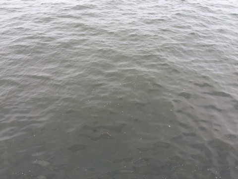 86t59xjn9aaw22ht6hkx_920_690-12e25d7f.jpg