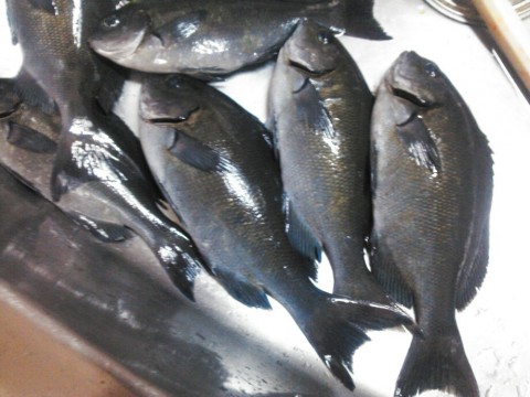 86td8cg88jrjxkpoyejd_920_690-5aac626b.jpg