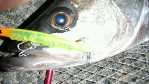 876mhy7vp456mfzk6pgv_920_518-3bfbee58.jpg