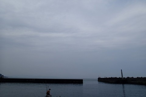 87bkaixkku9ac69j76ha_480_480-f43f66aa.jpg