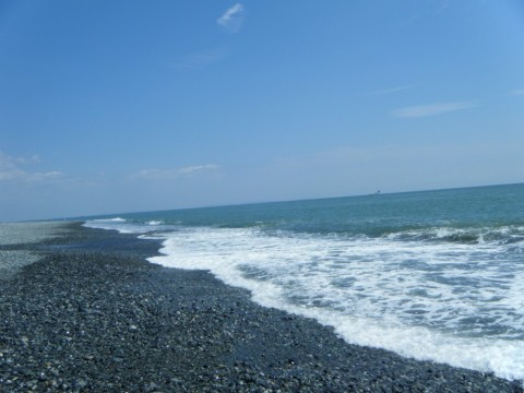 87djfv9mjy4h93wdaxo4_480_480-e295f65a.jpg