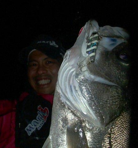 87p8dso288eung5wsgjz_858_920-6af6d148.jpg