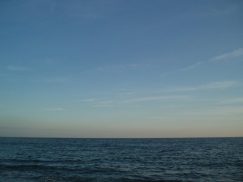 87ykmxf8o8vxxyh4a9tf_480_480-5283dd75.jpg