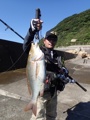 884p2258yvyhk73v97w2_690_920-b5735e0f.jpg