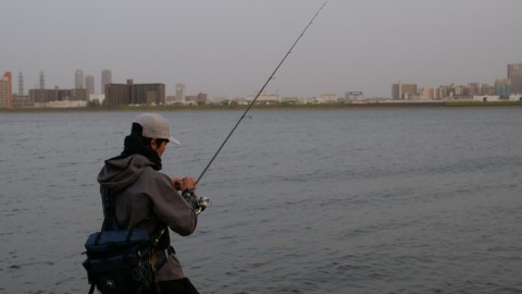 88aedrfi28u9rrdgjr4h_480_480-8bd67a93.jpg