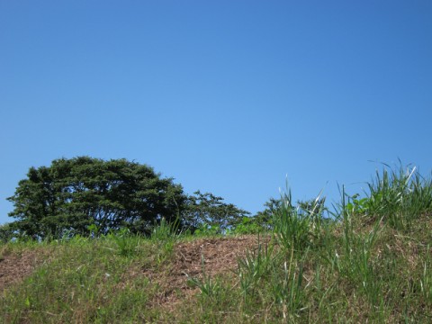 88k32c3ekeeigebhz688_480_480-5db52592.jpg
