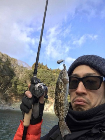 徒然なるままに。】 爆風の牡鹿