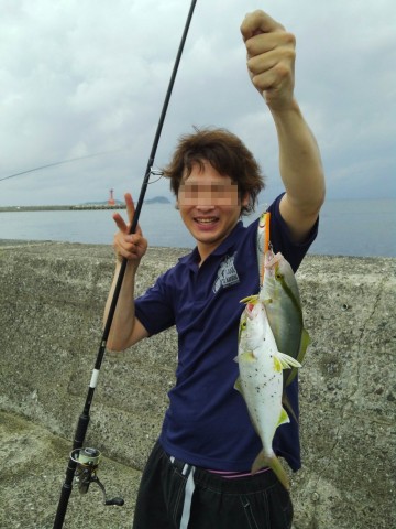 88x9887iavigb4czj7dj_480_480-6d2c936e.jpg