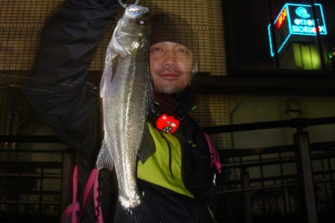 88ymwumjc2mbbdtbsfdh_480_480-2943e2de.jpg