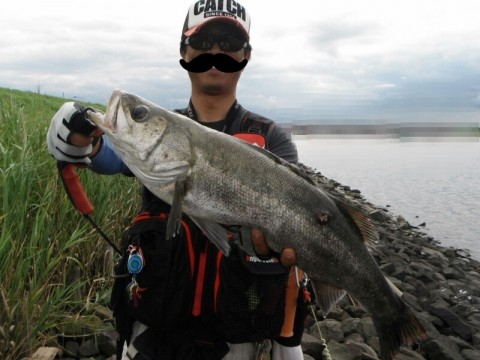 88z7j5nwokbk8s6mm3ko_800_600-f6764a73.jpg