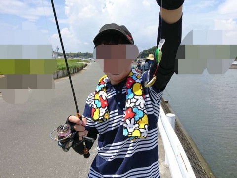 892ujhko9b6cd2xt7bwy_480_480-f8426999.jpg