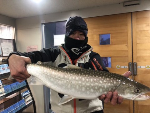 89g3euuf86us5ymbag73_480_360-2d5b0a83.jpg