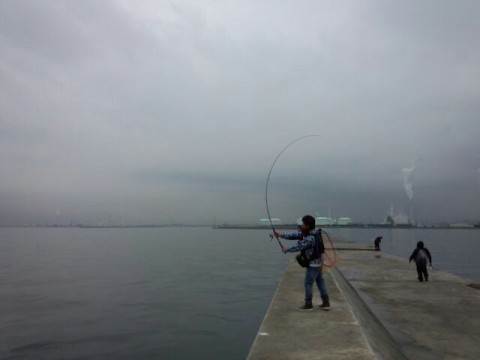 89if54gfykc8pcpy537c_640_480-0f721bb4.jpg