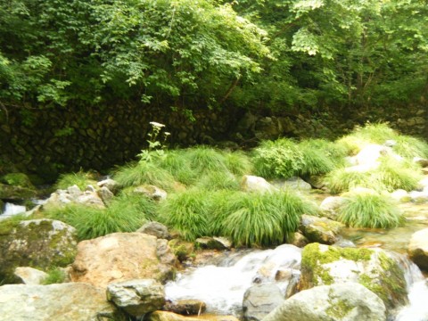 89xzeujnaacjkdtx34v7_480_480-a6585555.jpg