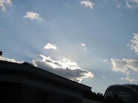 8MZ9irY4OUXGu4RjhZSs_480_480-55f37c27.jpg