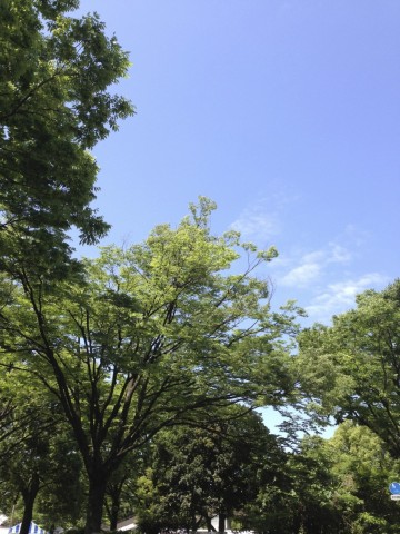 8aee3c6umc3moaibciec_480_480-8aee3564.jpg