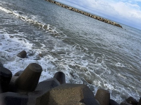8af9fhtzkjx84zn8462v_480_360-8a737d86.jpg