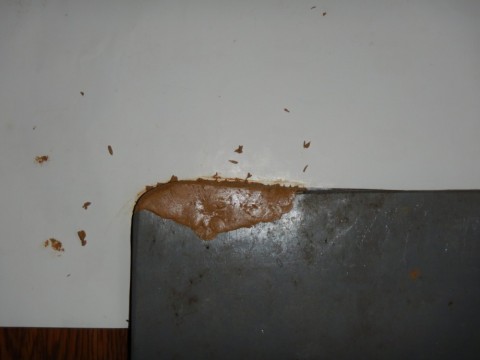 8ahzzcemn7vzbn752avu_480_480-508e4441.jpg