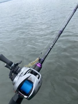8aipygt6mtx5o5jkrtw2_361_480-d854e8c8.jpg