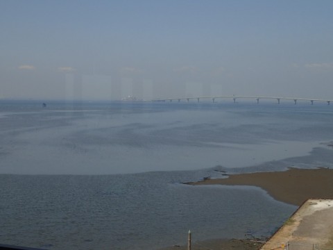 8am8upe642ctic32hsya_480_480-c6346cce.jpg