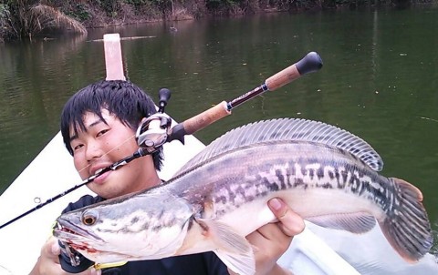 8azng4jd2yotfb4bj5m5_480_480-a4a3df9f.jpg