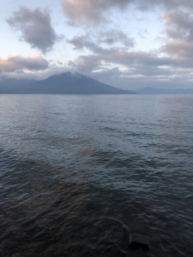 8b5efk8svvfkskjddg53_361_480-78055053.jpg