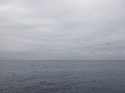 8bbr3v9u4kdyzjkvgjtx_480_480-7159dd6e.jpg