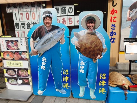 8bgdep6gre55r2huxw8f_480_480-c688eee4.jpg