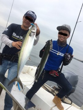 8bgmjdyucp4azjcz7n39_360_480-3b974e58.jpg