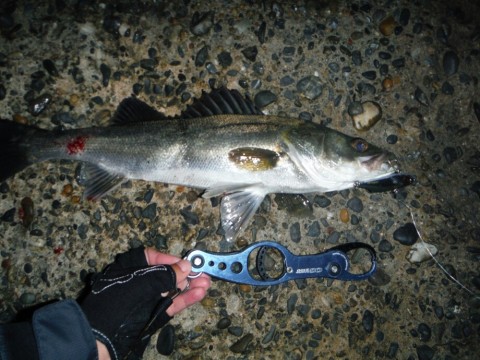 8bjokgwae34cm9s7e2oc_920_690-0245abd9.jpg