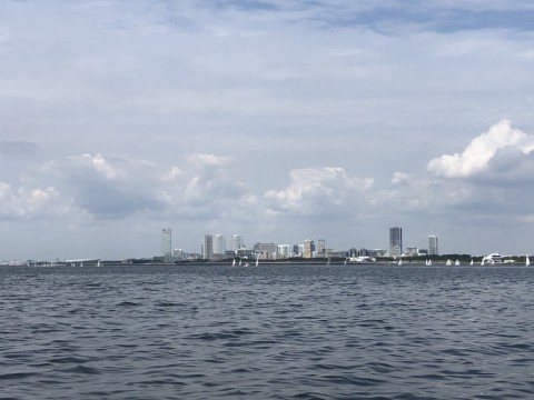 8c4vnb6kc692dagy8uh3_480_480-c3d17c11.jpg