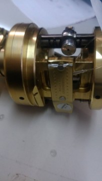 8c632zbbax9pk5w5ckzw_270_480-f371e177.jpg