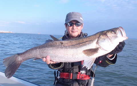 8ccua67kg77pbr7epynn-5e2735cb.jpg