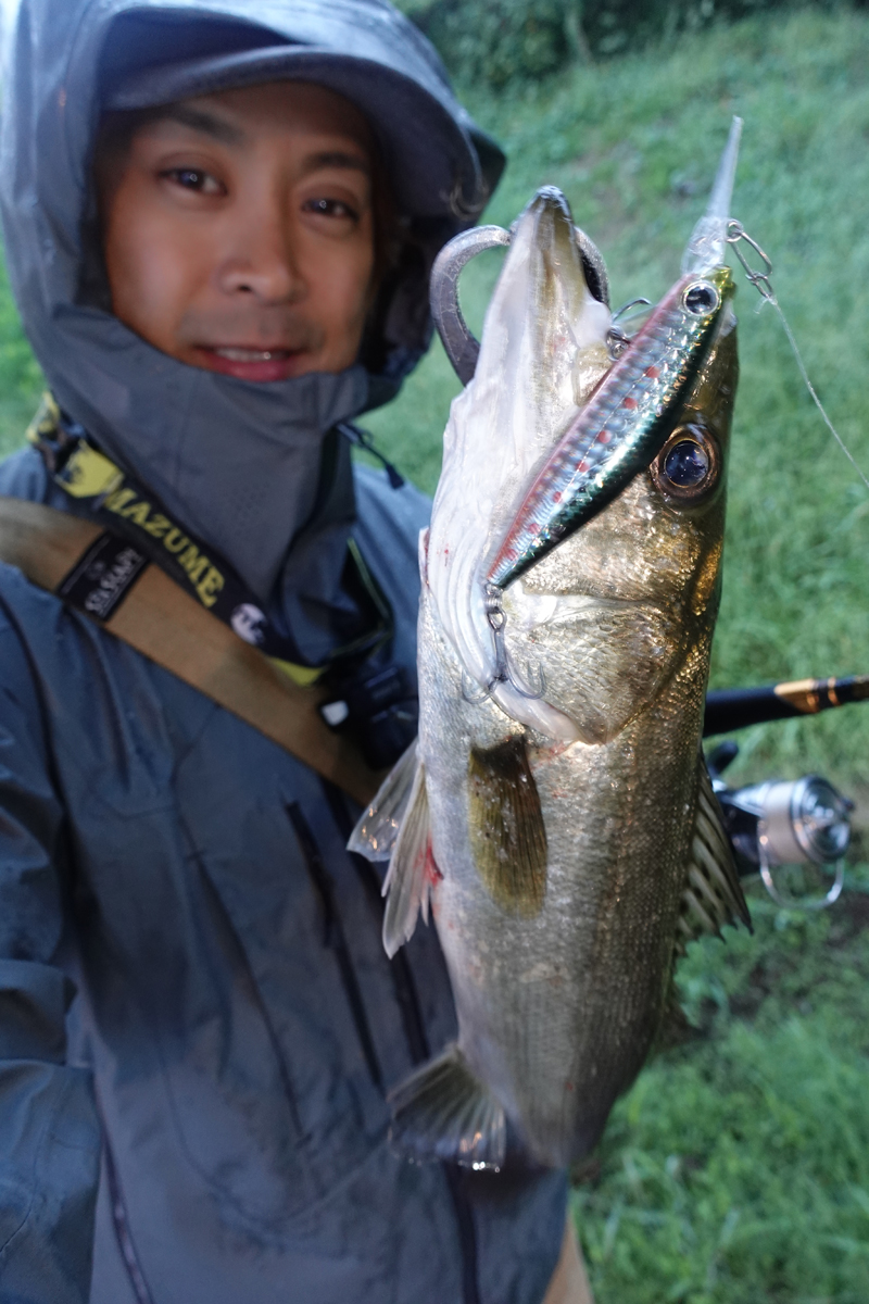 ｓｅａ ｓｃａｐｅ ベイトだらけ ひたすらバイトで二桁釣果