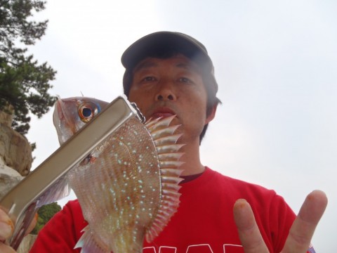 8ci333b3s9uu3gzsu2a3_480_480-62759076.jpg