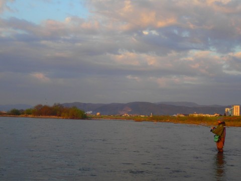 8cpg6jsacnuu8mr8g9aa_480_480-152f5778.jpg