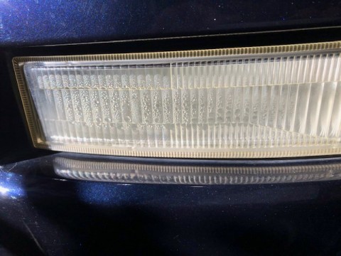 8cwmwnfhfnr2f5um68dm_480_480-83f5ca97.jpg