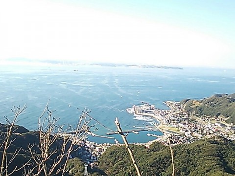 8d9vf8gvzd5gkhhua7zz_640_480-bf8493b0.jpg