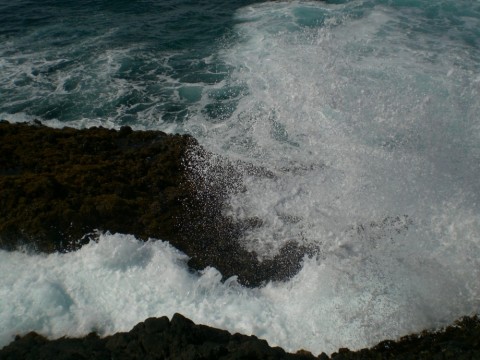 8dektfg9d656h34sidxt_480_480-e9b957a9.jpg