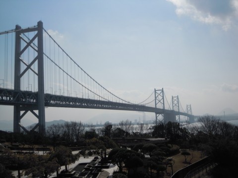 8dm8d6iayhwu6tzd6asi_480_480-c53f2c4c.jpg