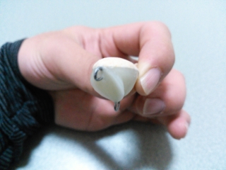 8dresudc9xmzae5uuhnu-77ec6367.jpg