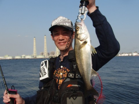 8dwbgv8fa82jy7gpg23o_480_480-4db25b82.jpg