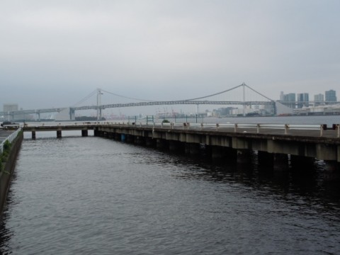 8dxxzuf788agto8ktypk_480_480-e0854d83.jpg