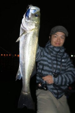 8e3hsuixpdhy9t5d66o3_320_480-1a0036b2.jpg